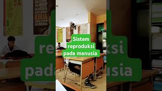 Sistem reproduksi manusia [upl. by Schroder159]