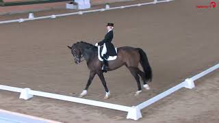 Racino Dressage Classics  Jessica von BredowWerndl  Ferdinand BB  Intermediare A [upl. by Hagar]