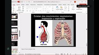 Cursillo de neumología 1 [upl. by Chaddie]