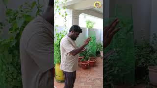 Idhan Boomer ah😅🤣ytshorts shorts comedy tamilcomedy YB funny boomer advice uncle [upl. by Nolita]