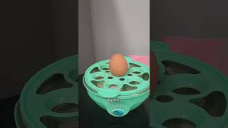 My Mini Egg Cooker kitchenhack cookingtip blessed viral perfecteggeverytime [upl. by Bremen]