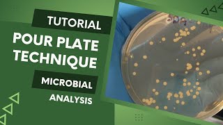 Enumeration of microbes using Pour Plate Method [upl. by Bobbette367]