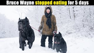 Bruce Wayne Stopped Eating for 5 days  Update Walk amp Talk Dog Squad [upl. by Kcerred294]