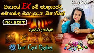 How your quotExquot thinks about you nowඔයාගේ Ex මේ වෙලාවෙදි ඔයා ගැන හිතන්නෙ මොනවදtarotreading sinhala [upl. by Clapper]