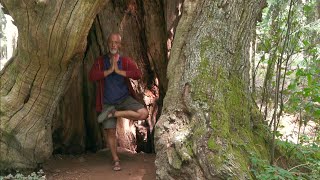 氣功 QI GONG Tree Position and Old Chestnut [upl. by Irita]