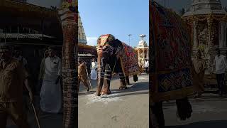 male mahadeshwara swami temple mahesha mhs [upl. by Notterb33]