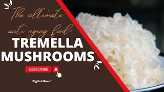 Tremella Mushrooms The Ultimate AntiAging Food [upl. by Arval]