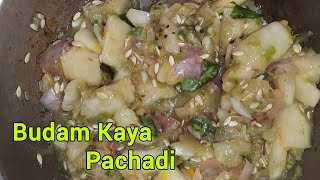 BudamKayaదోసకాయ Pachadi Recipe food pachadi indianfood videos [upl. by Nikolaus]