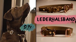 DIY  LEDERHALSBAND für Hunde  selber machen [upl. by Anemaj286]