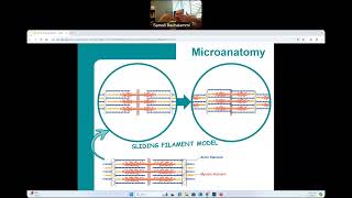 CG  BIO160  Introduction to Skeletal Muscles [upl. by Nylhtac]