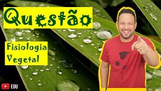 Fisiologia Vegetal  Questão  Gutação  Hidatódios  Folhas  Botânica [upl. by Fredela]