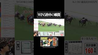 WIN5的中させた男がこちらです 天皇賞秋 競馬 [upl. by Averi]