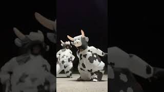 Ram Sam Sam trio cow costume link in bio  viral [upl. by Solahcin]