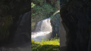 The Falls at Tumwater falls Park aka Brewery park [upl. by Ophelia556]