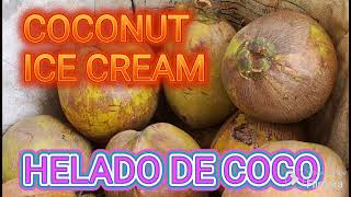 COMO HACER HELADO DE COCO [upl. by Gnep]