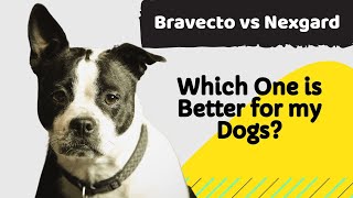 Bravecto vs Nexgard Which is Better for Your Dogs [upl. by O'Toole881]