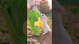 Mathumakhi ne kiya inshan pe sata ku comedy funny shorts short totalgaming shortvideo [upl. by Malvina]