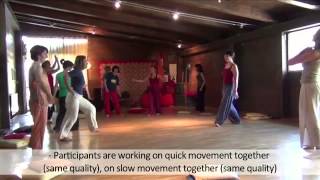 Dance Movement Therapy Video for trainers Art Made Man Integrated Methodology part one [upl. by Marti]