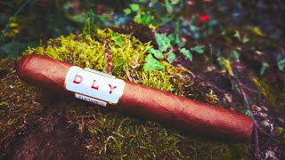 Dalay Nicaragua Toro Gordo  Zigarren Review [upl. by Ecyar]