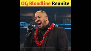 Roman Reigns and Sami Zayn reunite The Og Bloodline shorts wwe [upl. by Cthrine588]