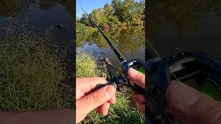 Largemouth Bass on the Texas Rigged Googan Lunker Log shorts [upl. by Namurt]