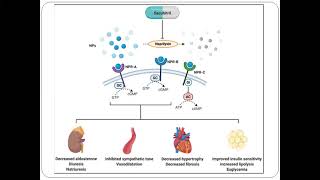 Angiotensin Receptor Aldosterone Antagonist ARNI Latest ESC Guidelines 2021 [upl. by Roshan]