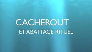 Chiourimcom  interview Rav Wolff  Cacherout et abattage rituel [upl. by Fulbright]