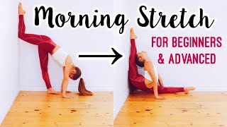 Do this Every Morning to get Flexible Morning Flexibility Stretch Routine [upl. by Austina]