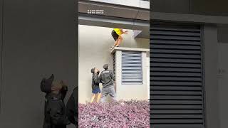 The Delivery Man Did Parkour To Escape From The Security Guard Parakour extreme [upl. by Frierson141]