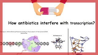 Antibiotics that prevents transcription  CSIR NET  GATB2020  IIT JAM  JNU CEEB GATE LS [upl. by Cherian337]