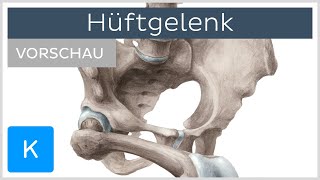 Hüftgelenk Aufbau und Funktion Vorschau  Anatomie des Menschen  Kenhub [upl. by Wenda]