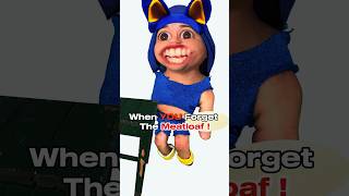 Sonic Has A Funny Food Fail  Animation Meme  shorts funny [upl. by Edwina387]