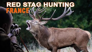 Red Stag Hunting and Bellow in France Chasse et Brame du Cerf en France  2023 [upl. by Sutphin]