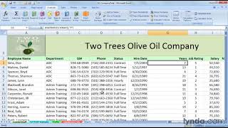 Excel Tutorial  The DATEDIF function [upl. by Fronia]