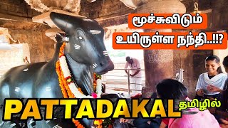 ★வட கர்நாடகத்தில் ★ஒரே இடத்தில் 10 கோவில்கள்  Pattadakal Temple In Tamil  Ancient Temple India [upl. by Nallek]