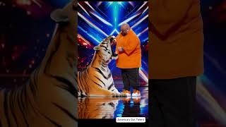 Fat man performs unbelievable tiger tooth pulling act judges are amazed [upl. by Naam]