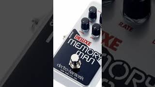 Electro Harmonix Memory Man ¿Boy Toy Deluxeo o Nano [upl. by Fredie]