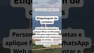 Etiquetas para filtrar contatos no Whatsapp Web  CRM Whats Pro [upl. by Hgielsa]