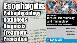 Esophagitis in Urdu ampHindi Gastrointestinal tract Infection [upl. by Ocimad]