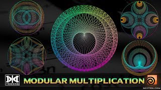 VMT 038  HOUDINI  Modular Multiplication [upl. by Bartolemo]