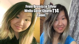 Brassy to Silver Hair Using Wella Color Charm T14 Toner [upl. by Jeromy]