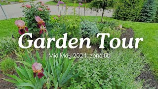 Garden Tour MidMay 2024  Full Spring Garden Tour [upl. by Aninnaig]