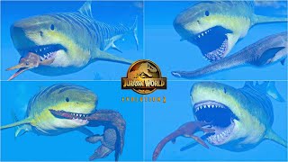 MEGALODON HUNTING ANIMATIONS VS ALL MARINE REPTILES  JURASSIC WORLD EVOLUTION 2 [upl. by Siubhan393]