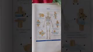 Human body joints and types of synovial joints  anatomy and physiology  nursing [upl. by Airres]