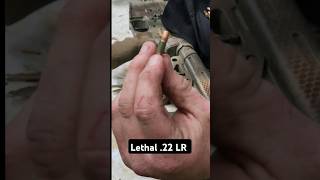 lethal 22 lr shorts airsoft [upl. by Osborn350]