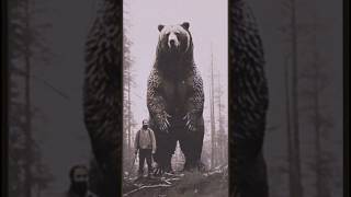 Bogart the largest grizzly beast nightmare giant grizzlybear ai [upl. by Suez]