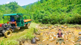 Pond Draining amp Harvesting FishTurtles for Market  Phuong New Life [upl. by Llenol]