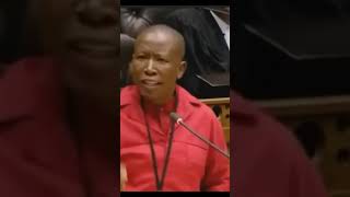 Expropriation without compensation JuliusMalema cic [upl. by Ydnik]