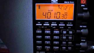 Tecsun PL880 vs PL660 on 4010 Khz Birinchi Radio Kyrgyzstan [upl. by Burnsed335]