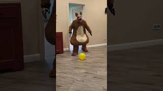 A fat shaggy dog brings balloons to the little doggie [upl. by Bernarr11]